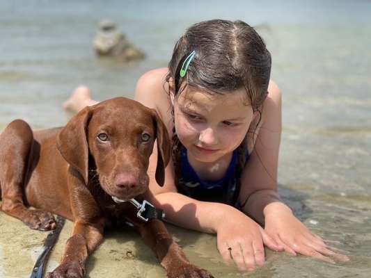 Die Dogorama Wochen Challenge: “Dein Hund im Urlaub”-Beitrag-Bild
