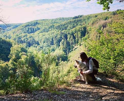 Hundmenschfotos-Beitrag-Bild