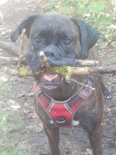 11. Farben Foto Challenge Rot-Beitrag-Bild