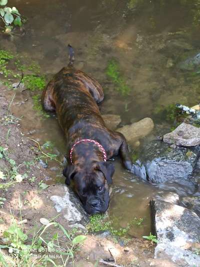 FOTO-Challenge  NR. 91: Die pure Entspannung-Beitrag-Bild