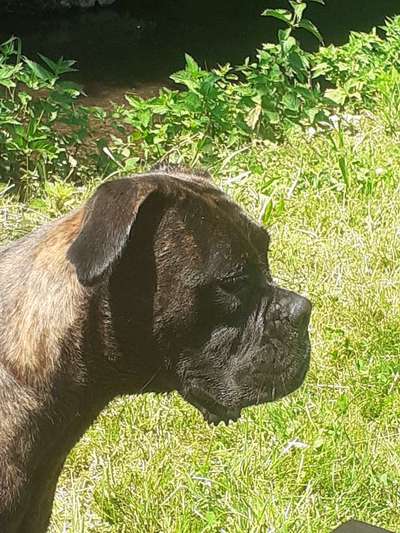 Zeigt eure Portraits-Beitrag-Bild