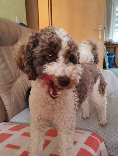 20. Handy -Foto-Callenge-Beitrag-Bild