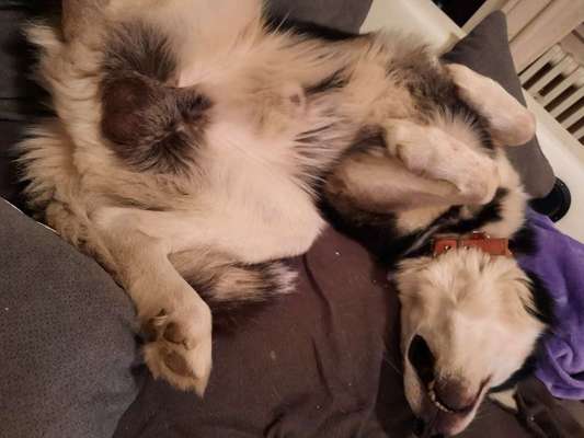 CHALLENGE NR. 34 - Liege-/Schlafpositionen-Beitrag-Bild