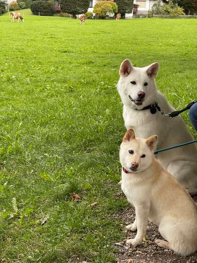 Neu Zugang-Beitrag-Bild