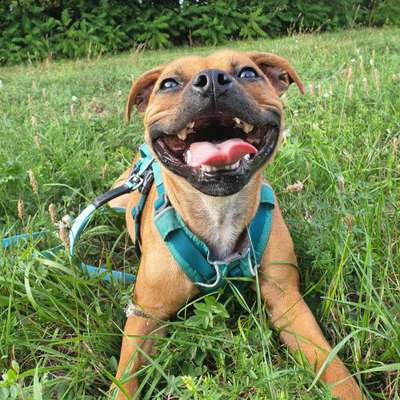 Challenge Nr. 10: "Das schönste Lächeln"-Beitrag-Bild