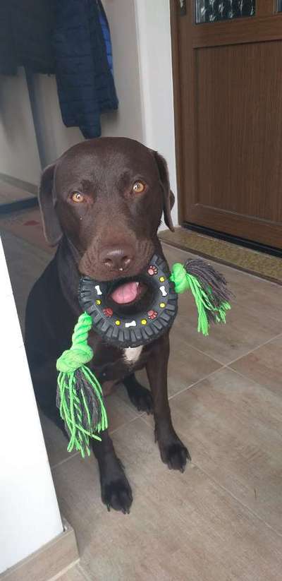 19. Handy - Foto - Challenge-Beitrag-Bild