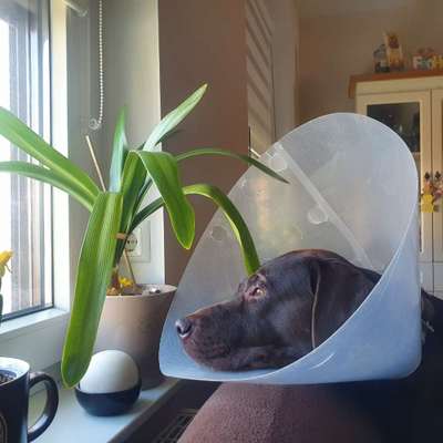 120. Fotochallenge-Beitrag-Bild