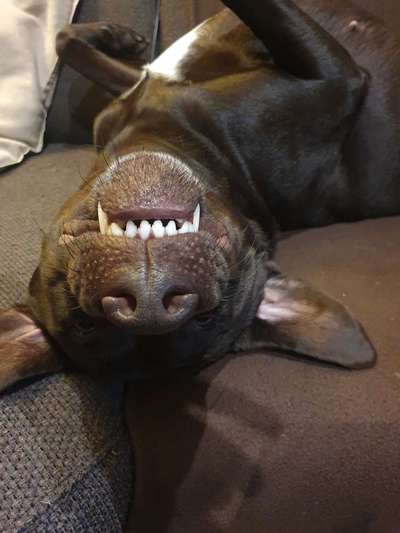 Handy-foto Challange nr. 11-Beitrag-Bild