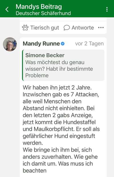 Sozialisierung und Trauma-Beitrag-Bild