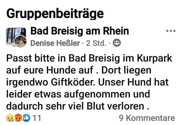 Giftköder-Mehrere Giftköder-Verdachtsfälle – Bürgermeister verurteilt Taten scharf-Bild