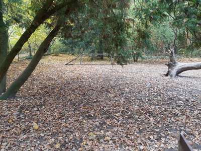 Hundeauslaufgebiet-Am Steinbergpark-Bild