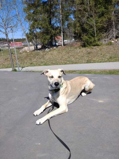 Lieblingsbild-Beitrag-Bild