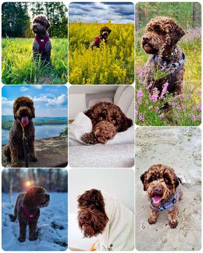 23. Collagen-Challenge: Portraits-Beitrag-Bild