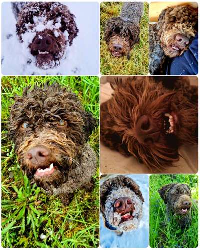 26. Collagen Challenge- Zeigt her eure Zähne-Beitrag-Bild