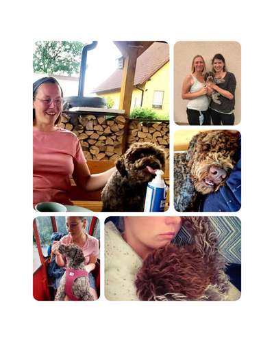 21. Collage Challenge 
Du und dein Hund-Beitrag-Bild