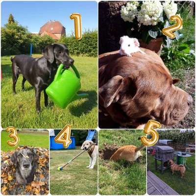 Fotochallenge 129-Beitrag-Bild