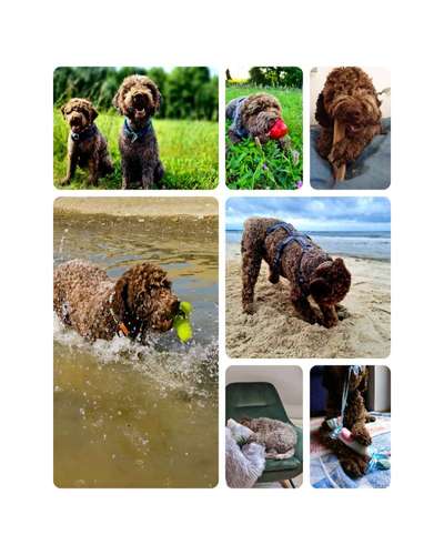 22. Collagen Challenge- Lebensfreude-Beitrag-Bild