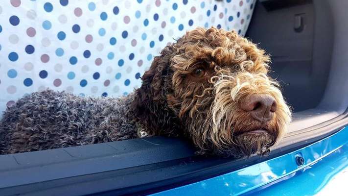 117. Fotochallenge-Beitrag-Bild