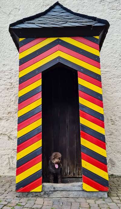 121. Fotochallenge-Beitrag-Bild