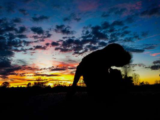 118. Fotochallange-Beitrag-Bild