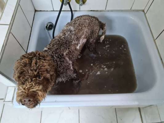 Fotochallenge 128-Beitrag-Bild