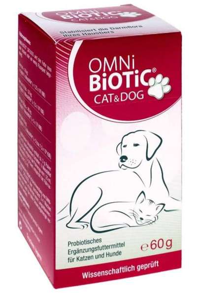 Lagotto Romagnolo Besitzer-Beitrag-Bild