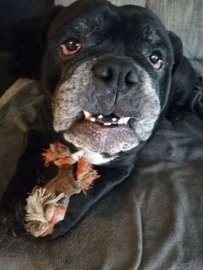 Fotochallange Nr. 57     PORTRÄT.   Beendet!!!!!!!!-Beitrag-Bild