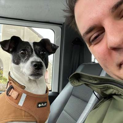 Hundetreffen-Joggen mit den Hunden-Profilbild