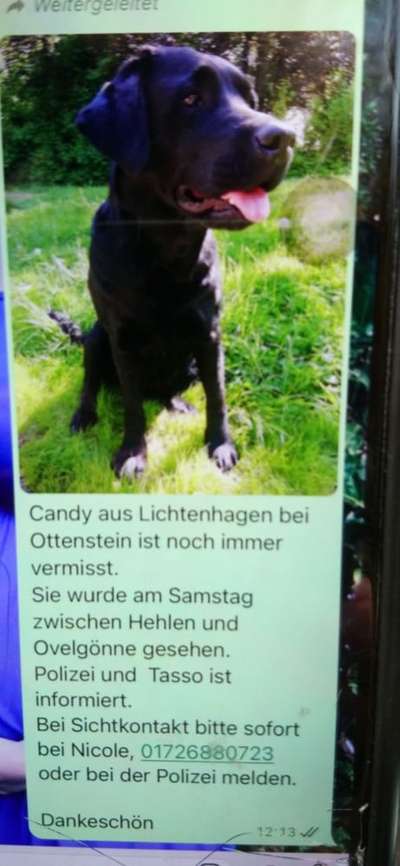 Suchmeldung-Candy-Bild