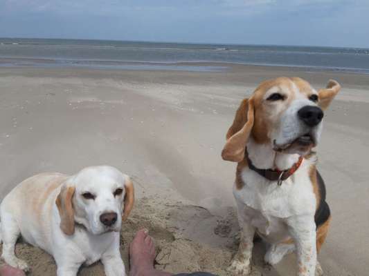 Fotowettbewerb Natur-Beitrag-Bild