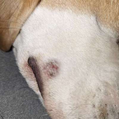 Was ist das?-Beitrag-Bild