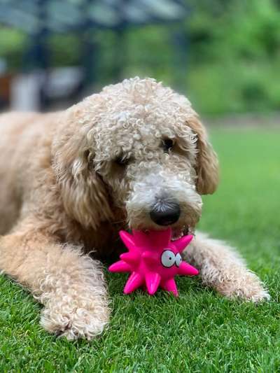 Fotochallenge Nr. 64-Beitrag-Bild