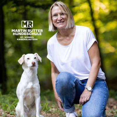 Hundeschulen-Martin Rütter Hundeschule St.Wendel/Kais-Bild