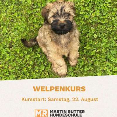 %{de_profession_title} Welpenkurs %{location} – Dogorama