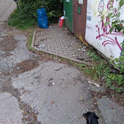 Was hat euch heute genervt?-Beitrag-Bild