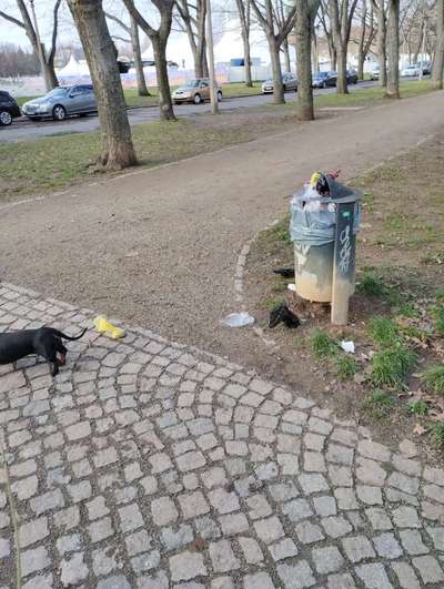 Was hat euch heute genervt?-Beitrag-Bild