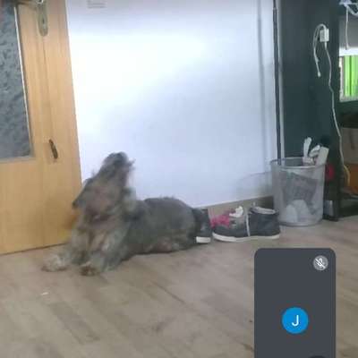 Was hat euch heute genervt?-Beitrag-Bild