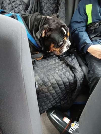 117. Fotochallenge-Beitrag-Bild