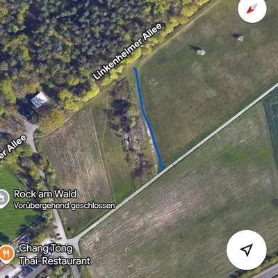 Giftköder-Giftköder (Rattengift)-Bild