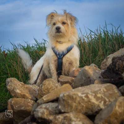 Fotochallenge Nr 107-Beitrag-Bild