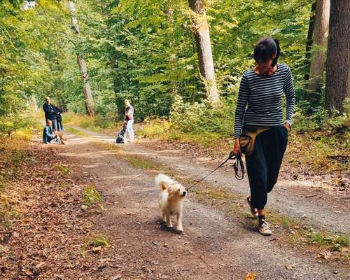 Fotochallenge 108: Starkes Team-Beitrag-Bild