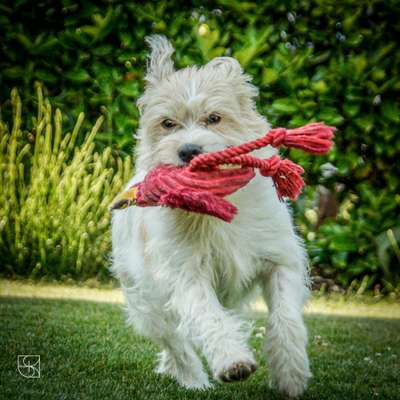 Fotochallenge Nr.105  Glücksmomente-Beitrag-Bild