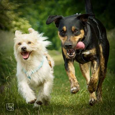 Foto Challenge Nr.: 115-Beitrag-Bild