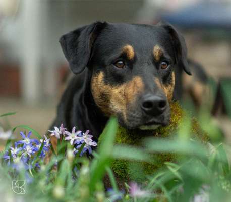 Fotochallenge Nr. 126-Beitrag-Bild