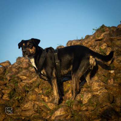 Fotochallenge Nr 107-Beitrag-Bild