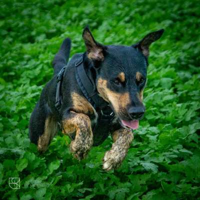 Fotochallenge Nr.105  Glücksmomente-Beitrag-Bild