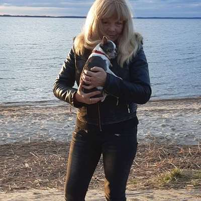 Elke's Profilbild