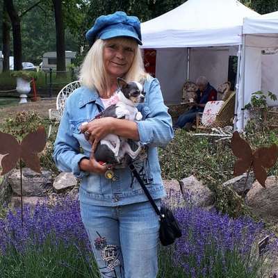 Elke u's Profilbild