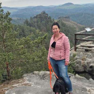 Hundetreffen-Wandern mit Hund / Tagesausflug-Bild