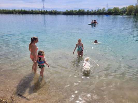 Dogorama-Monats-Challenge-Mai "Wasser"-Beitrag-Bild